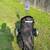 Golf bag with pull cart 3 thumbnail