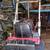 Massey Ferguson 1655/ with loader Project 4 thumbnail