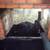 Chimney Sweep and Dryer Vent Cleaning 5 thumbnail