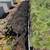 CUTTING EDGE LANDSCAPING SERVICES..A cut above the rest 1 thumbnail
