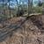 Grading, Paving, Demolition and Land Clearing. 19 thumbnail