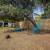 Sweet one Bedroom plus single family home level oversized backyard 23 thumbnail
