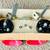 Two Brand New MIXO Horns TR 89 All Types High Low Sounds Made in France 4 thumbnail