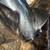 Stainless steel prop 2 thumbnail