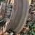 Unique flower planter ~ antique wagon wheel spokes 3 thumbnail