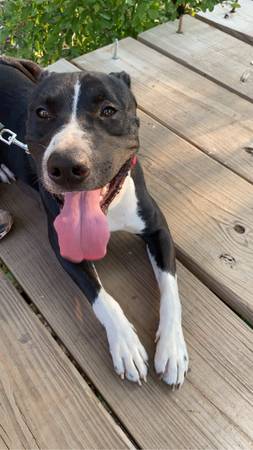 Buck (Wichita Falls)63852006974721120