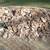 Limestone rock fill 2 thumbnail