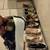 Nice women shoes size 10 6 thumbnail