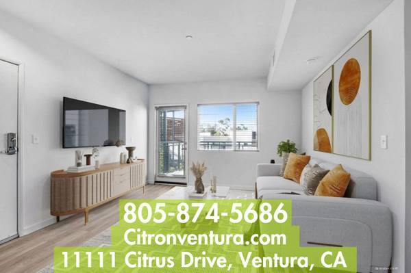 $2,425 / 1br - 603ft2 - Pet-Friendly + Upgraded 1 Bedroom 1 Bath in Ventura + Private Patio (Ventura)63800304535171120