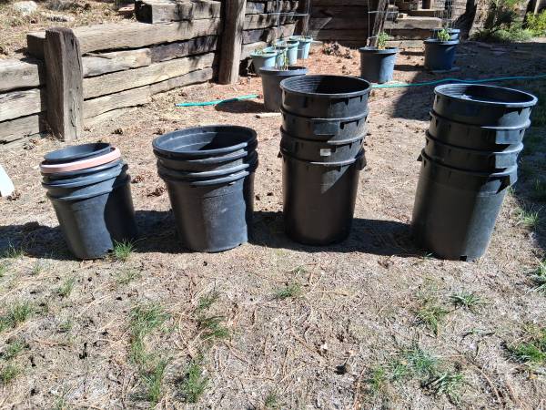 Plastic Garden Containers - Flower Pots Free to a Good Home 1