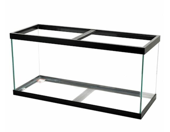 Aqueon Standard Open-Glass Glass Aquarium Tank, 75 Gallon 1