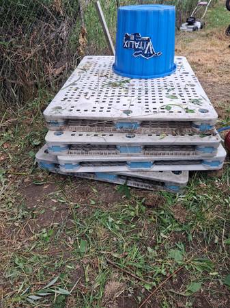 Plastic pallets 1