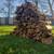 Firewood Delivered UT Graduation LONGHORN SALE !! Special 5 thumbnail