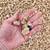Sand, rock and gravel 9 thumbnail