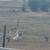 Geese 1 thumbnail