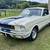 1966 Shelby Mustang Fastback GT350 6 thumbnail