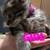 Kittens 4 thumbnail