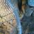 Boat wheel 4 thumbnail