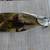 NEW CHEESE SERVER BOARD 12" TEMPERED GLASS "VINEYARD" by COUNTER ART w 4 thumbnail