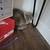 Cats 2 thumbnail