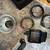 Dynalite flash heads, cables, speed ring 6 thumbnail