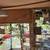 Zebra Finches For Sale. 16 thumbnail