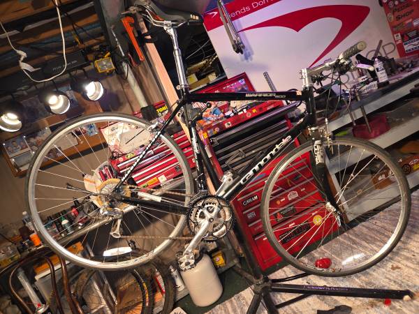 Cannondale Warrior600 1