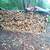 5full cords cut/split firewood mixed hardwood and soft wood mix 1 thumbnail
