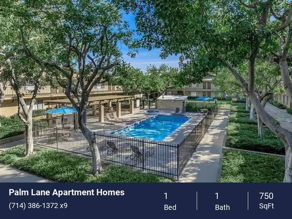 Spacious Walk-through Kitchens, Assigned Carports and Parking Spaces 1