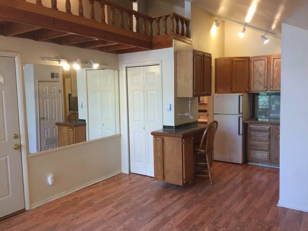 Pet-friendly STUDIO w/ LOFT for PRE-LEASE near CU (SM-16) 1