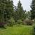 owner managed, safe neighborhood, pet friendly, shared 5 acre forest 2 thumbnail