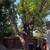 423 La Casa Ave - 3BR/2BA - Open House Thursday 5:30pm to 6:30pm 20 thumbnail
