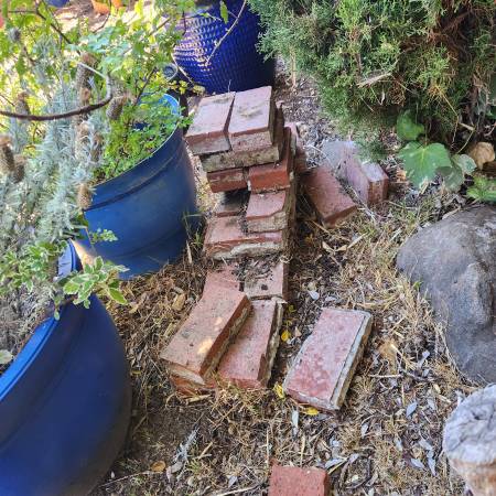 Bricks 1