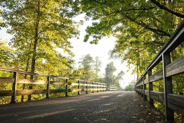 $1,341 / 286ft2 - Space to breathe, room to dream: Discover our community! (Eugene - Downtown)63977277728899124