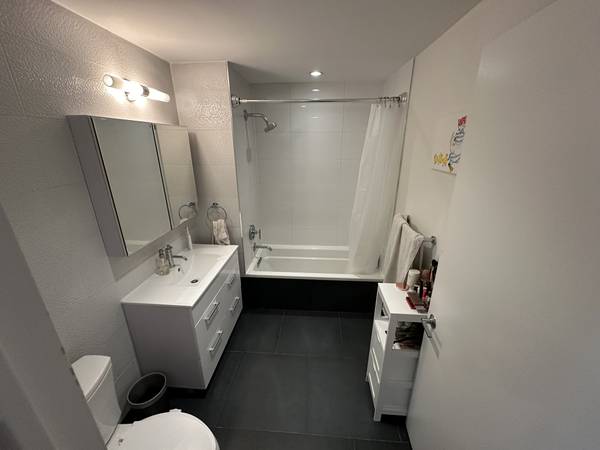 $5,200 / 1br - 670ft2 - 1bd Prime Williamsburg, sublet Nov1 - April1 (Williamsburg)63995970344707123