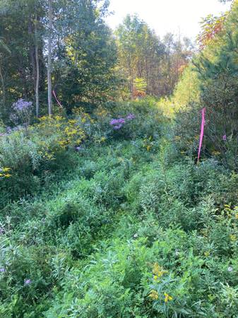$79,900 10 +/- Acres on NH Vermont Border63932188998786123