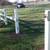 vinyl/plastic fence 1 thumbnail