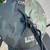 MineLab GPX-5000 3 thumbnail