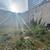 Beautifully finished LIC/Astoria 2 bedroom with giant private backyard 15 thumbnail