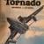 F-4 PHANTOM II, GRUMMAN F-14 TOMCAT & TORNADO - WARBIRDS ILLUSTRATED 5 thumbnail