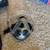 Taekwondo Sparring Gear Kids 6 thumbnail