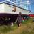 Stableton Open Fisherman 2 thumbnail