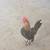 Roosters 1 thumbnail