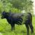 Cows 13 thumbnail