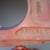 62-67 GM Bell Housing 2 thumbnail
