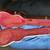 Epiphone 1959 Les Paul Standard 15 thumbnail