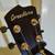 Breedlove Premier Concertina Copper E 3 thumbnail