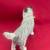 Gray Cairn Terrier Dog Figurine by Conversation Concepts DF53A. 3 thumbnail
