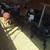 Sheeps Goats Borregos Chivos 8 thumbnail