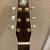 Seagull Artist Series Acoustic Guitar 3 thumbnail